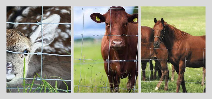 Hinge Joint Field Wire Fence application