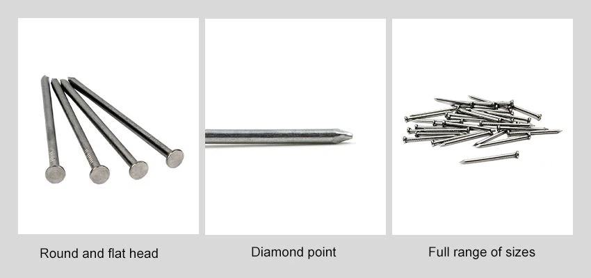 Common Iron Nail details Common Iron Nail details