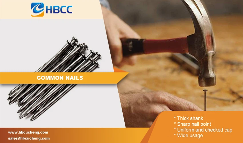 Common Iron Nail features Common Iron Nail features