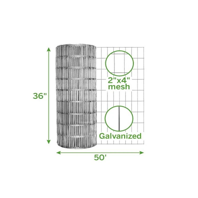 galvanized wire mesh fence
