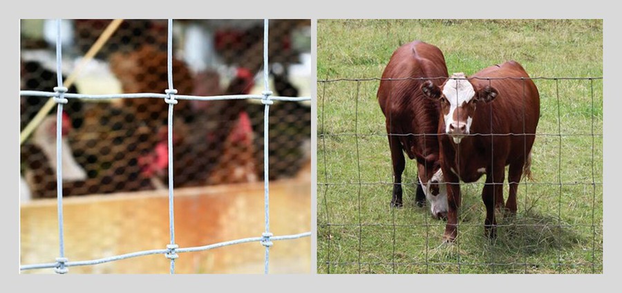 woven wire fence advantages woven wire fence advantages